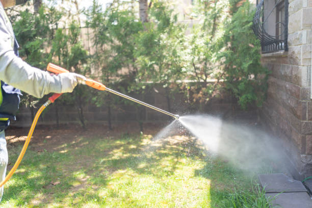 Best Mosquito Control Services  in Pueblo West, CO