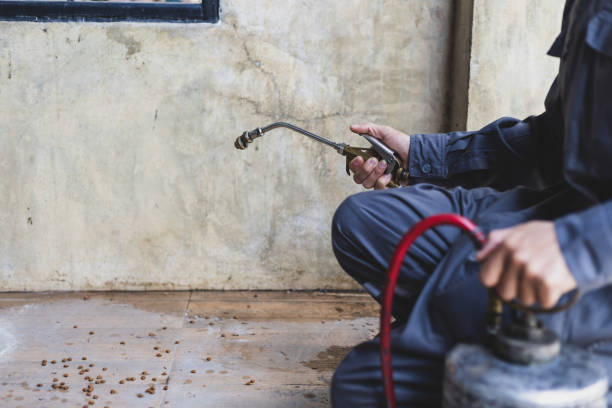 Best Pest Removal Services  in Pueblo West, CO